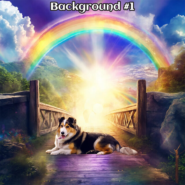 01__24x24_PawsForeverBeyondTheRainbow