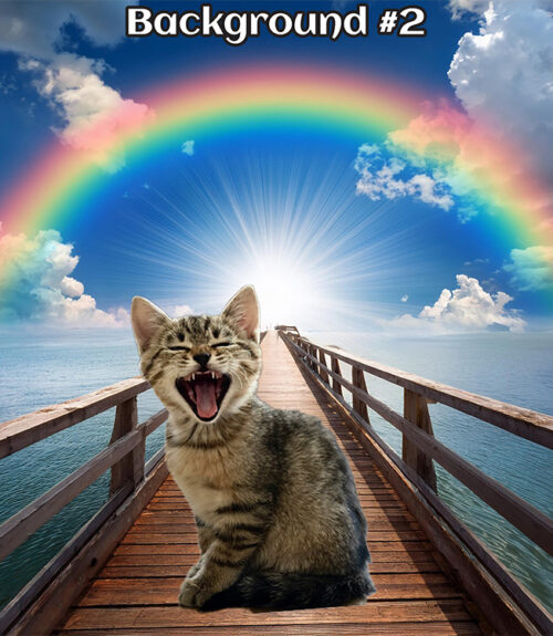 pet memorial wall art, custom pet keepsake, pet remembrance gift, digital pet memorial, rainbow bridge pet art, personalized pet memorial, custom pet tribute, pet loss remembrance, digital pet remembrance, pet memorial digital download, custom pet wall art, pet loss gift, pet memory keepsake, pet memorial gift digital, custom pet remembrance, Love Furry Babies