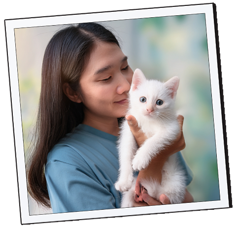 Lexi & Snowball  enjoy Love Furry Babies on YouTue, Instagram and Pinterest