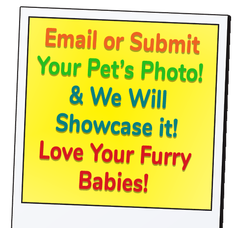 Love Furry Babies Client Photos