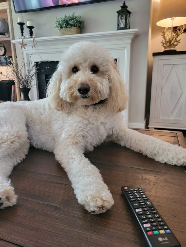 Brinkley: Ghost Host with the Most