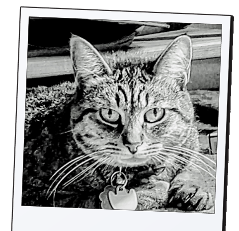 Jarrod & CooperLove Fuery Babies is on YouTube, Instagram and Facebook