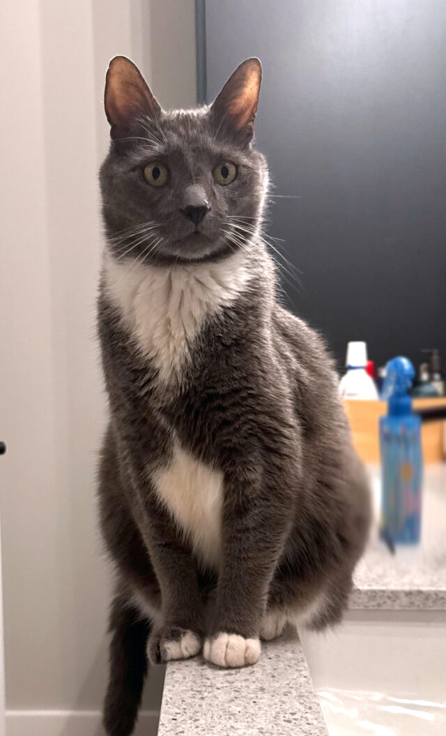 Felix E Rahalewicz: Most Likely to Haunt the Sink