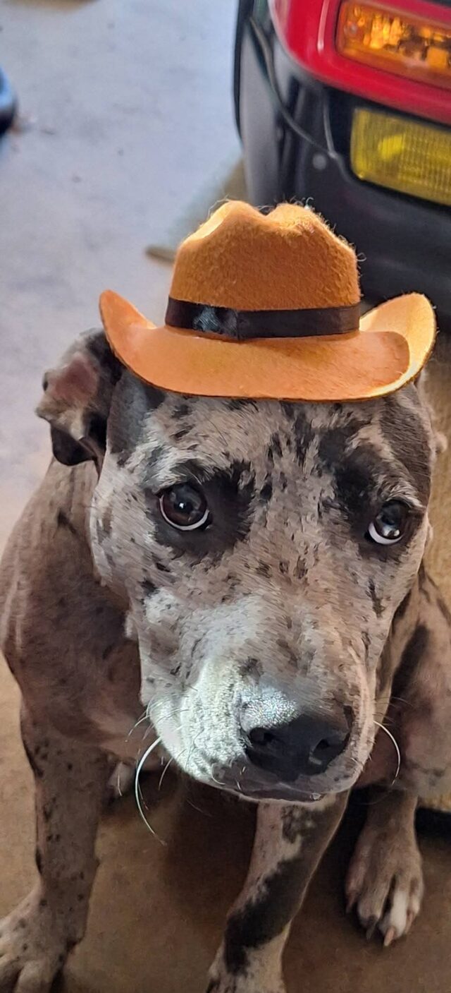 Karma JTyndell: Spookiest Sheriff in Town