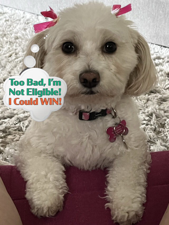 Sophie WBows Not Eligible