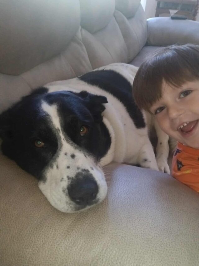 Tippy Shawna: WINNER