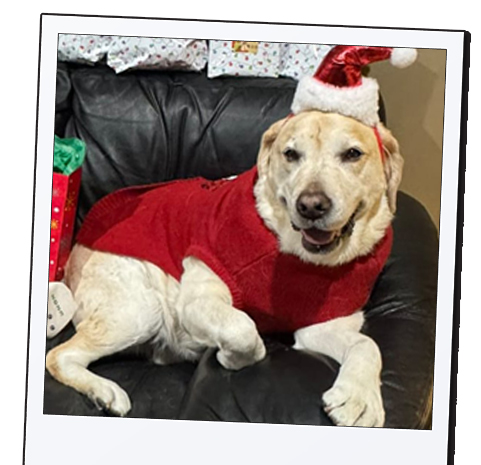 Tippy Shawna: WINNER